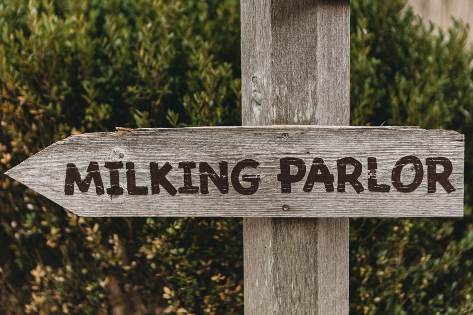 A weathered wooden signboard mounted on a vertical wooden post, pointing to the left with the words 'MILKING PARLOUR' painted in bold, black, slightly faded capital letters. The sign's surface shows signs of aging with visible grain, cracks, and a rough texture. Behind the sign, there is lush greenery consisting of dense, leafy shrubs or hedges with small, dark green leaves. The background is softly blurred, emphasizing the sign as the main object, and the natural lighting appears to be diffused, suggesting an outdoor setting. The scene evokes a rural or countryside environment, where independent waste clearance services like Waste Clearance Barnes may operate to handle rubbish removal tasks at such rustic properties or farm-related locations, aligning with the context of alternative waste handling methods outside conventional local authority collections.